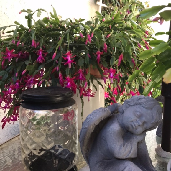 Meet your Posher, Michelle - Picture 5 of 15